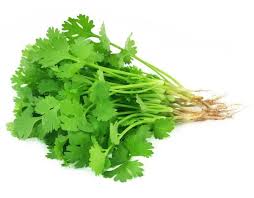 Coriander (धनिया) (250 GM)