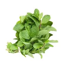 Pudina (पुदीना) (1 PULI)