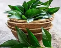 Curry Leaves (कड़ी पत्ता) (1 pkt)