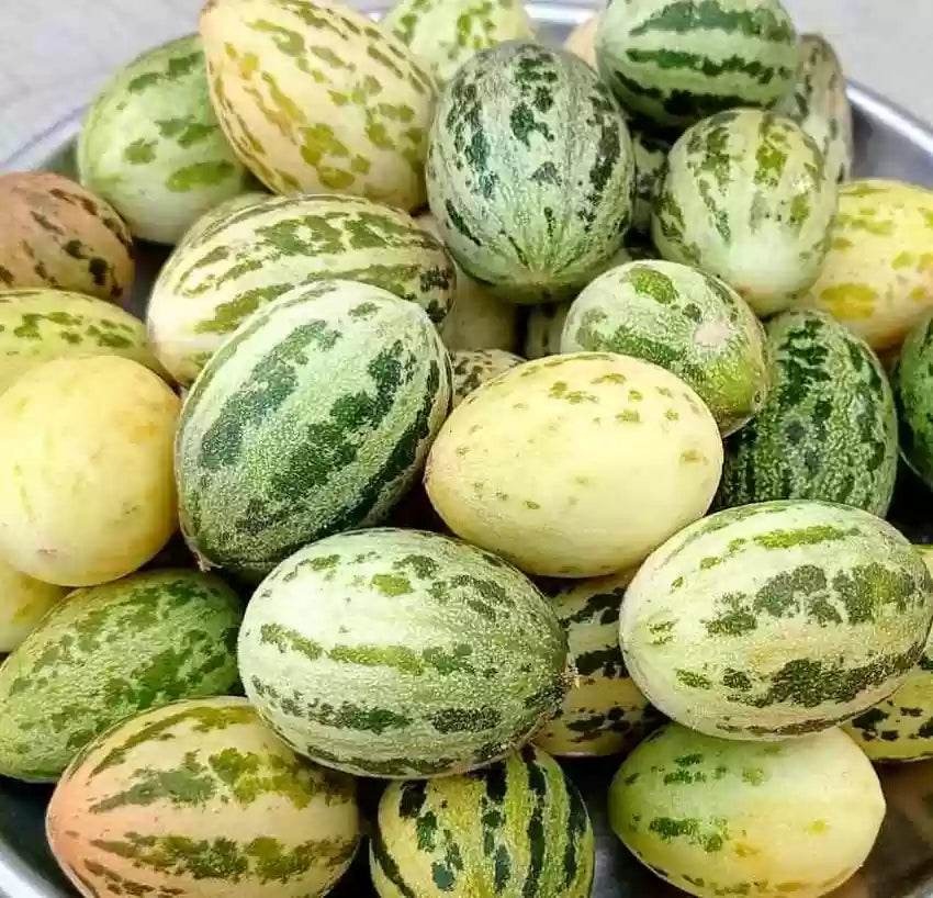 Kaachri (काचरी) (500 GM)