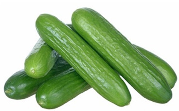 Cucumber Chinese Premium (खीरा प्रीमियम) (1 KG)