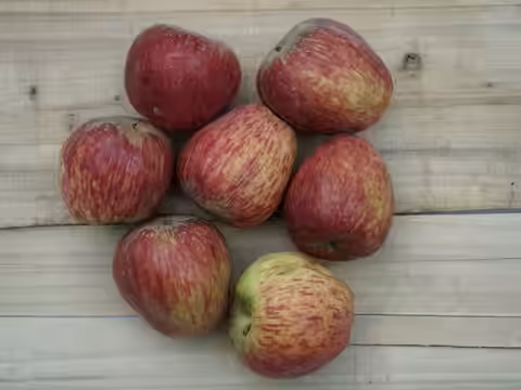 Apple Indian (सेब) (1 KG)