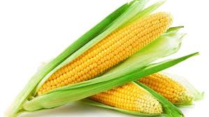 American Bhutta (अमेरिकन भुट्टा) (500 GM)