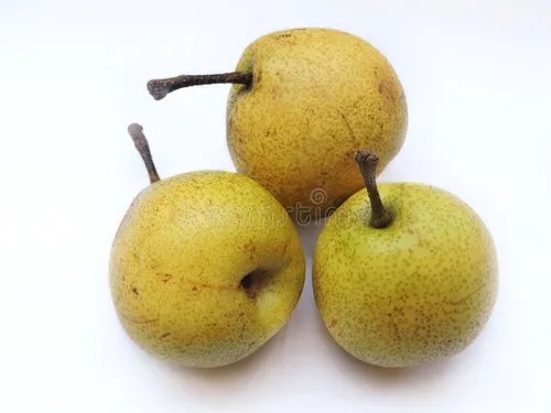 Nashpati Indain (नाशपाती (नाग)) (1 KG)