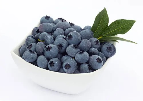 Blueberry (100gm Packet) (ब्लूबेरी (100 ग्राम पैक)) (1 pkt)