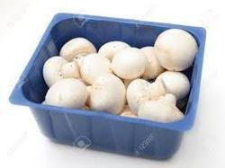 Mushroom (मशरूम पैकेट) (1 pkt)