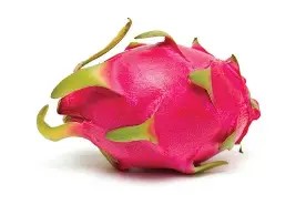 Dragon Fruit (ड्रैगन फल) (1 pcs)